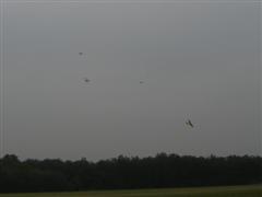 PICT2152.JPG